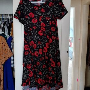 XXS Lularoe Carly